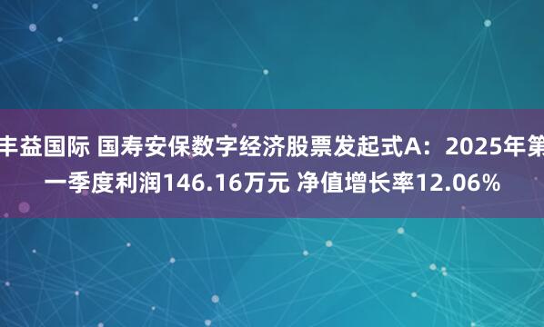 丰益国际 国寿安保数字经济股票发起式A：2025年第一季度利润146.16万元 净值增长率12.06%