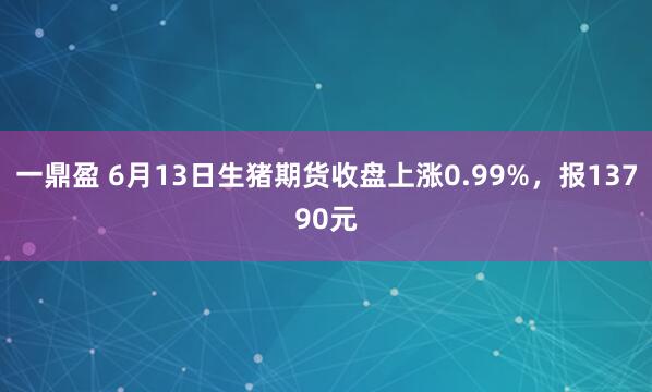 一鼎盈 6月13日生猪期货收盘上涨0.99%，报13790元