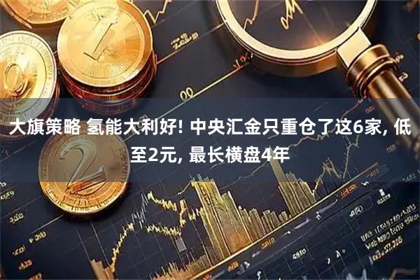 大旗策略 氢能大利好! 中央汇金只重仓了这6家, 低至2元, 最长横盘4年