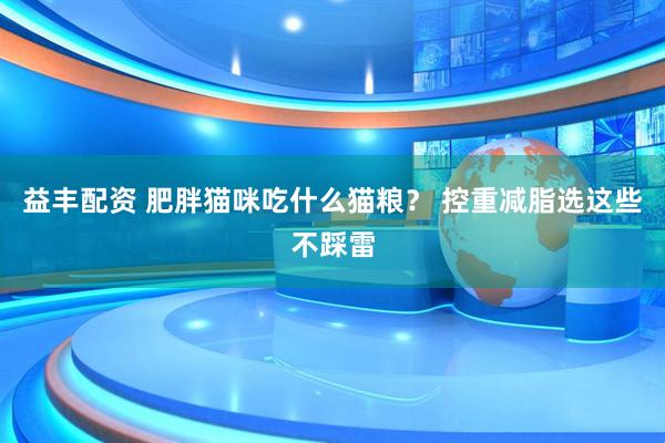 益丰配资 肥胖猫咪吃什么猫粮？ 控重减脂选这些不踩雷