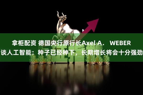 拿柜配资 德国央行原行长Axel A． WEBER谈人工智能：种子已经种下，长期增长将会十分强劲