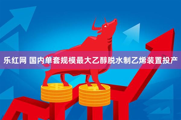 乐红网 国内单套规模最大乙醇脱水制乙烯装置投产